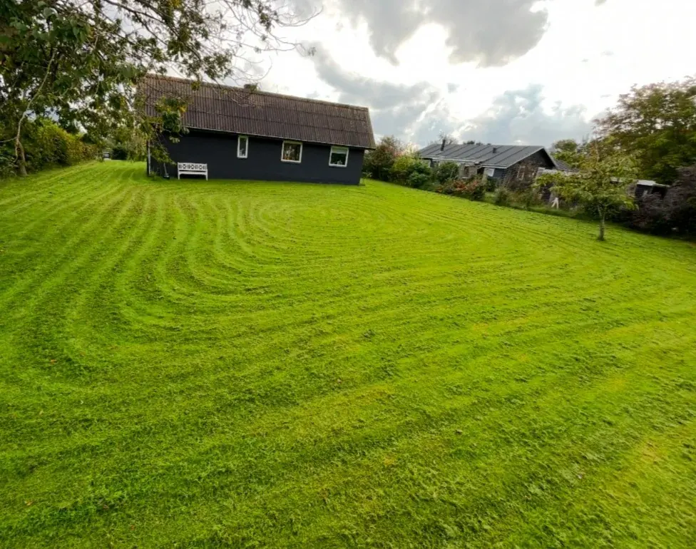 Nyslået plæne foran et mørkt sommerhus.