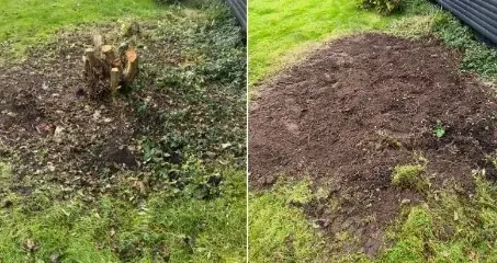 Haveareal før og efter fjernelse af rødder.